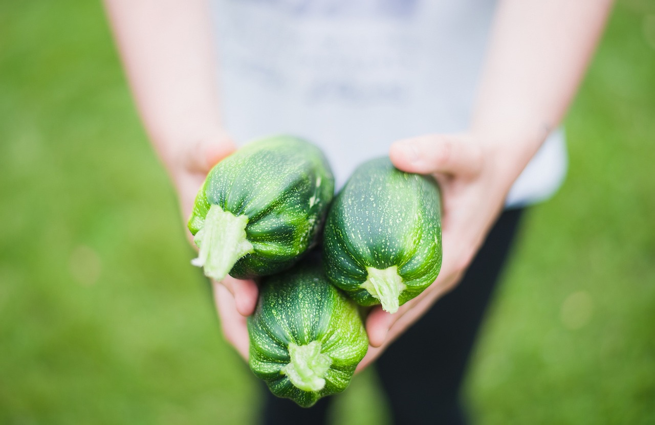 Zucchine grigliate dorate su un piatto, pronte per essere servite con spezie e olio d'oliva.