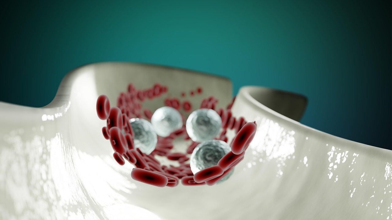 Grafico che confronta i livelli di colesterolo HDL e LDL nel sangue.